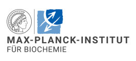 Sachbearbeiter (m/w/d) Buchhaltung